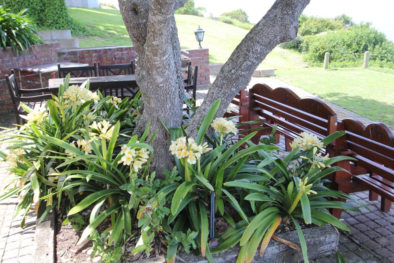 Imperani Apartment Plettenberg Bay Luaran gambar