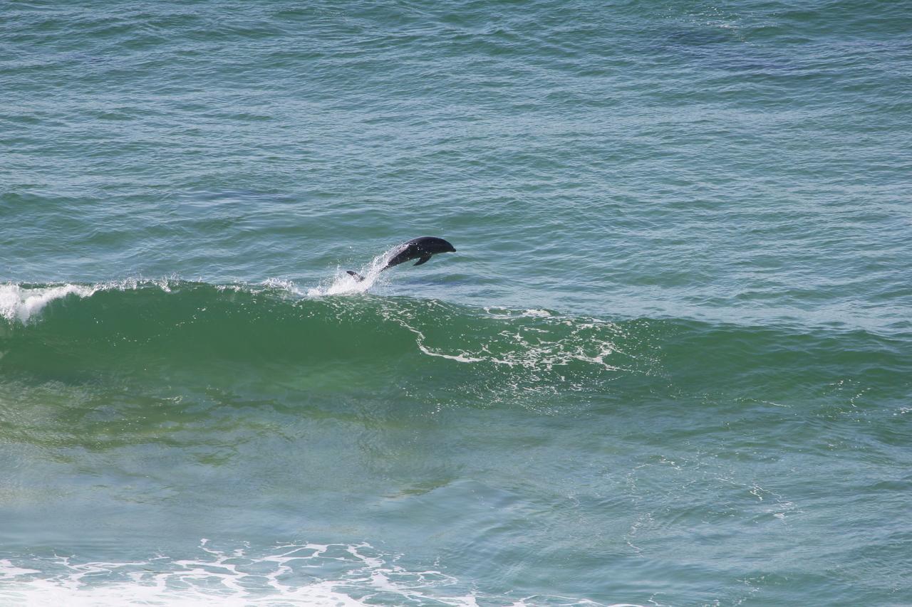 Imperani Apartment Plettenberg Bay Luaran gambar